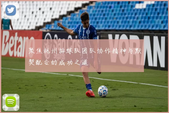 聚焦杭州排球队团队协作精神与默契配合的成功之道