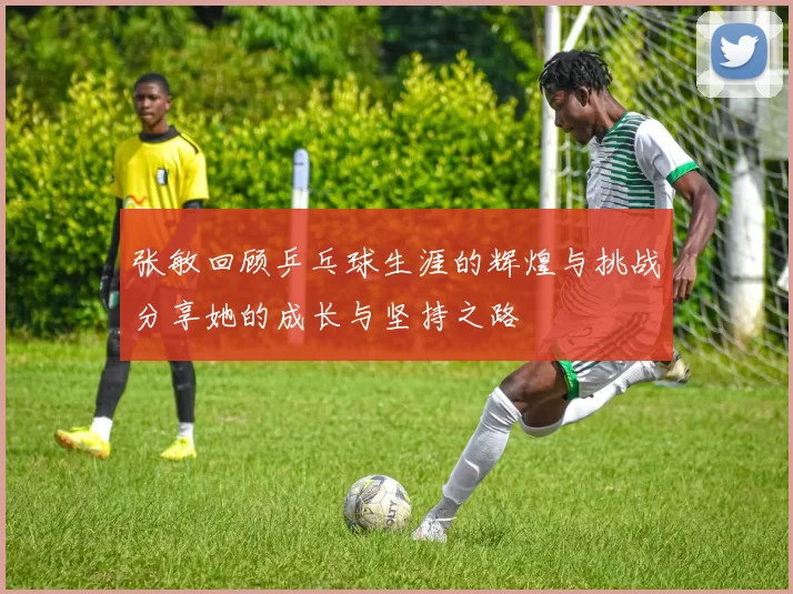 张敏回顾乒乓球生涯的辉煌与挑战分享她的成长与坚持之路