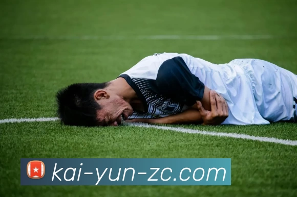 开云服务体系