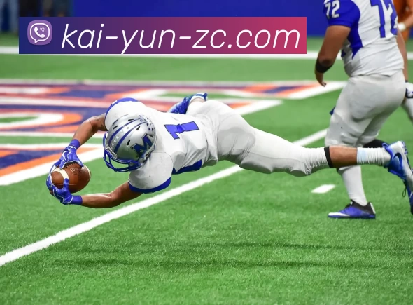 开云APP 体育赛事宣传图